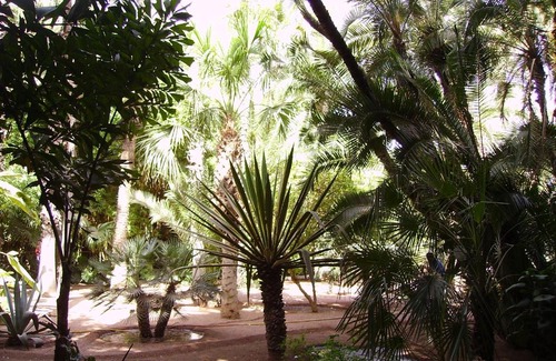 Majorelle Apartamento | Appart avec vue Jardin/Majorelle