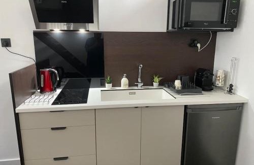 Decines-Charpieu Apartamento | Appart dans villa EUREXPO LDLC ARENA GROUPAMA STADIUM
