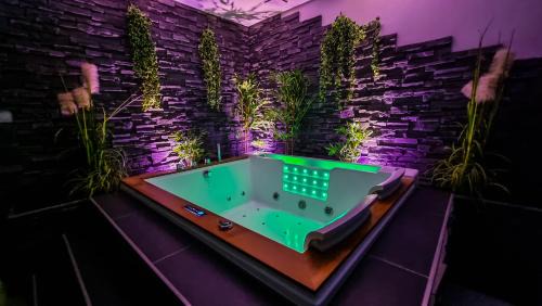 Gray Apartamento | Appart' spa privatif Gray
