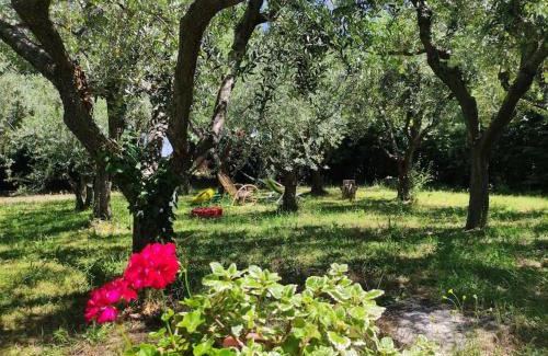 San Giovanni In Marignano Casa | Appartamento Dai Nonni San Giovanni in Marignano