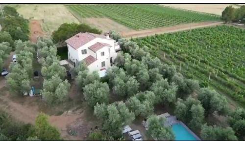 Pian di Rocca Apartamento | Appartamenti in Villa