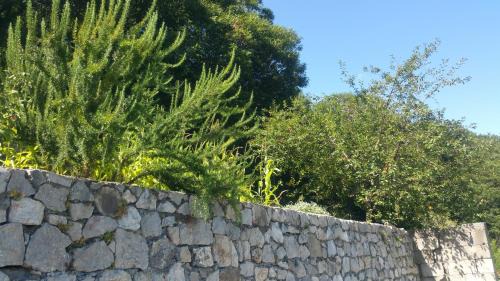 Tramonti Apartamento | Appartamenti "Al Castagneto" Costiera Amalfitana