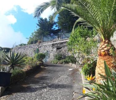 Fiaiano Apartamento | Appartamenti da Giorgio e Lina