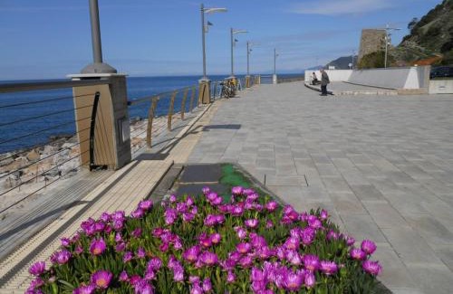 Deiva Marina Apartamento | Appartamenti In Piazzetta
