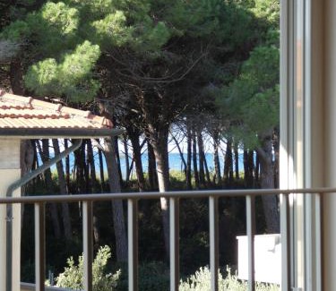 Mazzanta Apartamento | Appartamenti Manuela