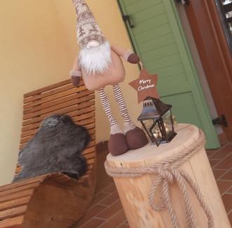 Fai della Paganella Apartamento | Appartamenti Paolo