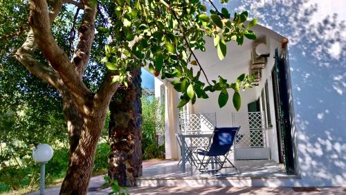 Torre di Bari Apartamento | Appartamenti Su Nenneri