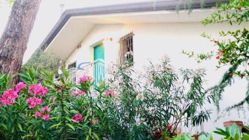 Alba Apartamento | Appartamenti Villa Renata