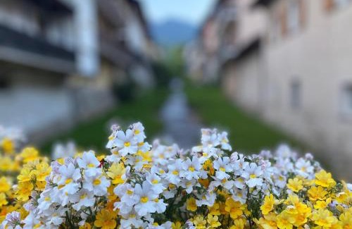 Levico Terme Apartamento | Appartamento Al Vicolo