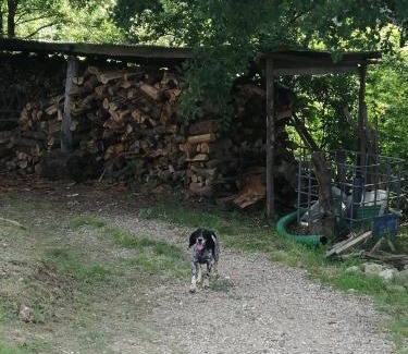 Figline e Incisa Valdarno Apartamento | Appartamento Bellosguardo
