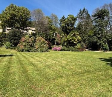 Lesa Apartamento | Appartamento Diana - Lesa