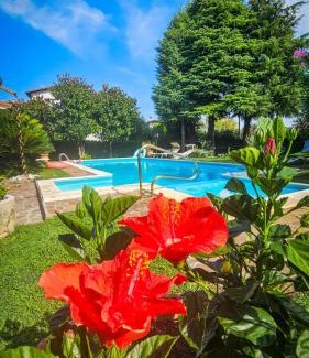 Crociale Apartamento | Appartamento Enrichetta