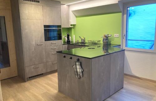Airolo Apartamento | Appartamento Evelina