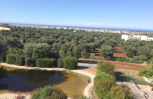 Fasano Apartamento | Appartamento Giardinelli - Giulia