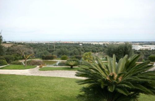 Fasano Apartamento | Appartamento Giardinelli - Giulia