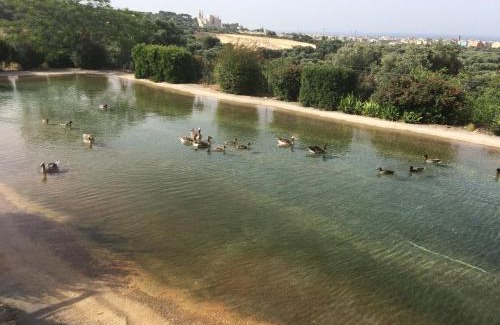 Fasano Apartamento | Appartamento Giardinelli - Giulia