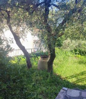 Fosdinovo Apartamento | Appartamento il Giardino