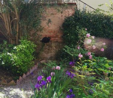 Camucia Apartamento | Appartamento Il Giardinetto