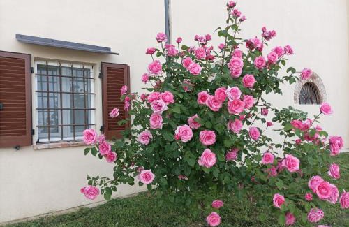 Picenengo Casa | Appartamento in Cascina Cortazza