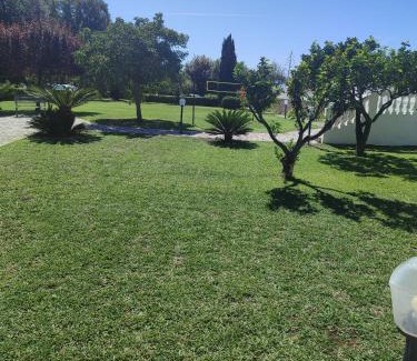 Fiumicello Santa Venere Apartamento | Appartamento in Villa Venezuela piano Terra