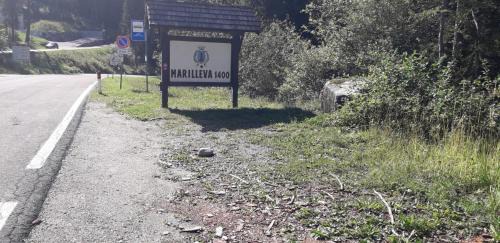 Marilleva Apartamento | Appartamento Incantevole immerso nella neve