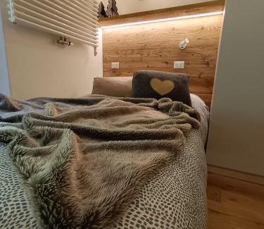 Palu Apartamento | Appartamento Campiglio 2