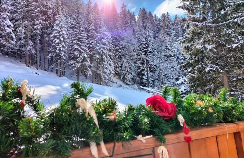 Palu Apartamento | Appartamento Campiglio 2