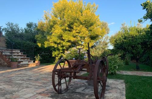 Ripa Teatina Casa | Appartamento Mimosa