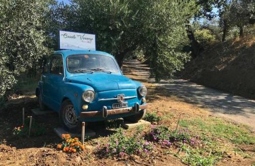 Collecorvino Apartamento | Appartamento Olivo