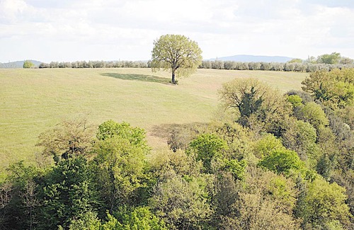 Colle di Val d'Elsa Apartamento | Appartamento elegante con vista sulla campagna
