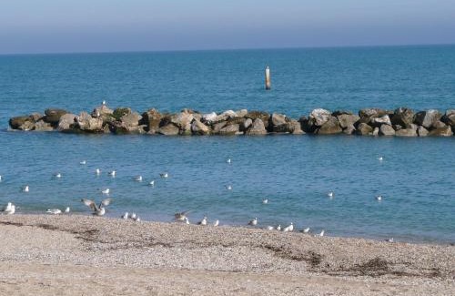 Porto Recanati Apartamento | Appartamento Paradiso Azzurro