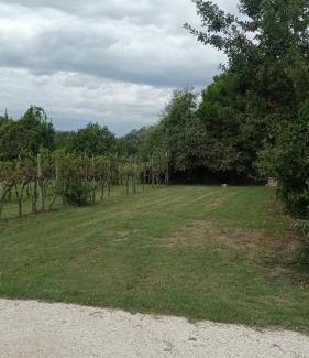 Lido di Pomposa Apartamento | Appartamento Residence I Vigneti
