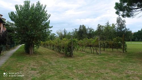 Lido di Pomposa Apartamento | Appartamento Residence I Vigneti