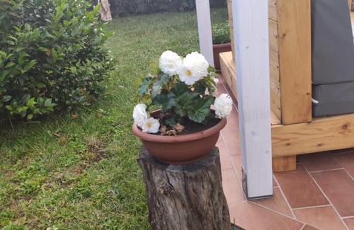 Drapia Apartamento | Appartamento relax con giardino