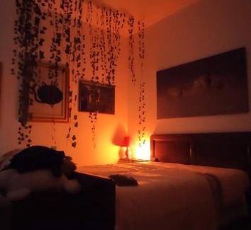 Drapia Apartamento | Appartamento relax con giardino