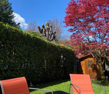 Carciano Apartamento | Appartamento rosada