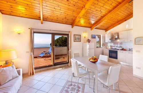 Sant'Agnello Apartamento | Appartamento Villa degli Ulivi