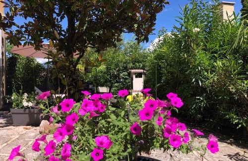 Riva del Garda Casa | Appartamento villatorretta24
