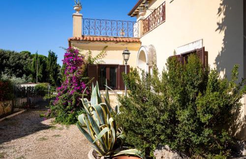 Grottaferrata Apartamento | Appartamento Villa Matone