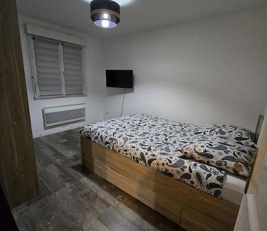 Illkirch-Graffenstaden Apartamento | Appartement parking gratuit