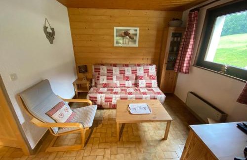 La Chapelle-d'Abondance Apartamento | Appartement cosy et lumineux proche des télécabines, avec balcon et parking, animaux acceptés ! - FR-1-692-33