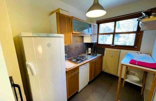 Saint-Etienne-de-Tinee Apartamento | Appartement 2 pièces spacieux terrasse vues sur les pistes
