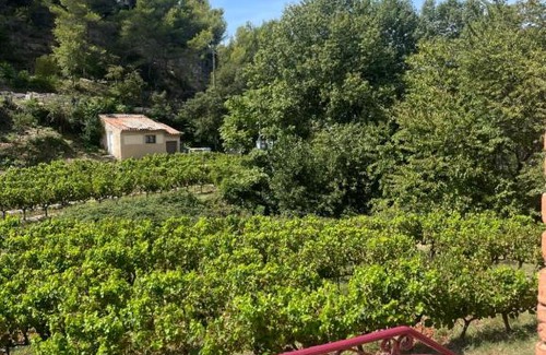 Gigondas Apartamento | Appartement 1 chambre au milieu du vignoble de Gigondas