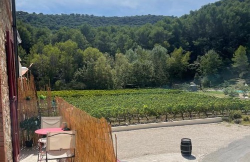 Gigondas Apartamento | Appartement 1 chambre au milieu du vignoble de Gigondas