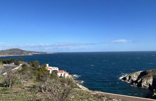Banyuls-sur-Mer Apartamento | Appartement 2 pièces avec terrasse, 4 couchages, parking, accès wifi - Banyuls-sur-Mer - FR-1-225C-139