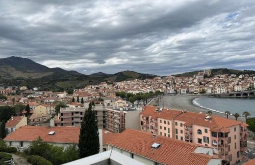 Banyuls-sur-Mer Apartamento | Appartement 2 pièces avec parking et vue sur mer à 200m de la plage - FR-1-225C-142