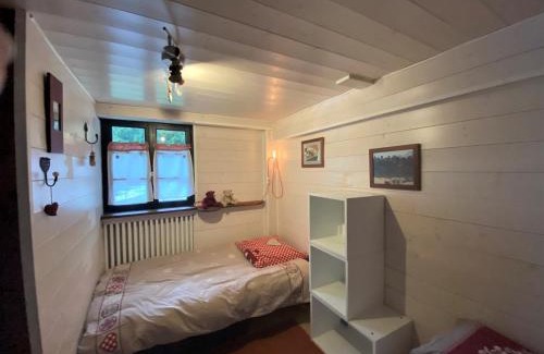 Les Prodains Apartamento | Appartement 2 pièces, 5 min du téléphérique Avoriaz, navette gratuite, parking, jardin, services inclus - FR-1-754-41