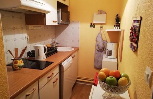 Bagneres-de-Luchon Apartamento | Appartement 2 pièces cabine avec balcon, parking, animaux admis, Wi-Fi - FR-1-313-195