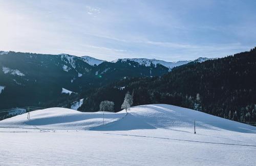 Leogang Apartamento | Appartement Adamhof Spielberg Leogang