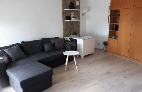Neureichenau Apartamento | Appartement Altreichenau